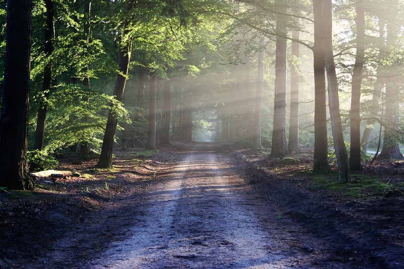 Nature Escape